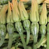 Bí nụ bao tử sạch, an toàn